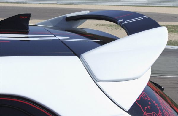 Dachspoiler